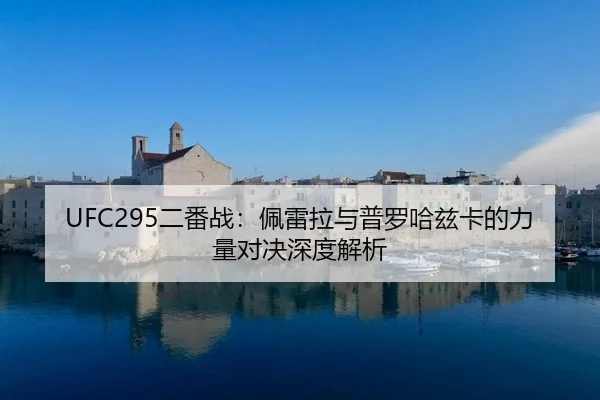 er-fan-zhan-pei-lei-la-yu-pu-luo-ha-zi-ka-de-li-liang-dui-jue-shen-du-jie-xi-2-393.jpg