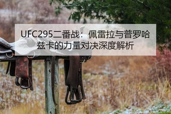 UFC295二番战：佩雷拉与普罗哈兹卡的力量对决深度解析
